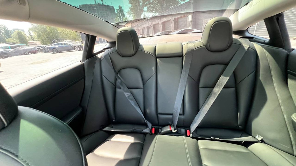 Tesla Model 3 LR DM (EU) 2021  Фото №29